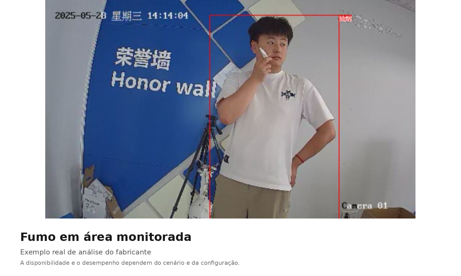 Frame de análise do fabricante mostrando fumo em área monitorada